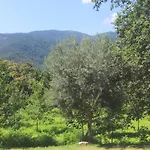 Geres - Aldeia Turistica De Louredo Feriehus Vieira do Minho