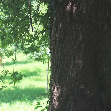 Geres - Aldeia Turistica De Louredo בית נופש ויירה דו מיניו
