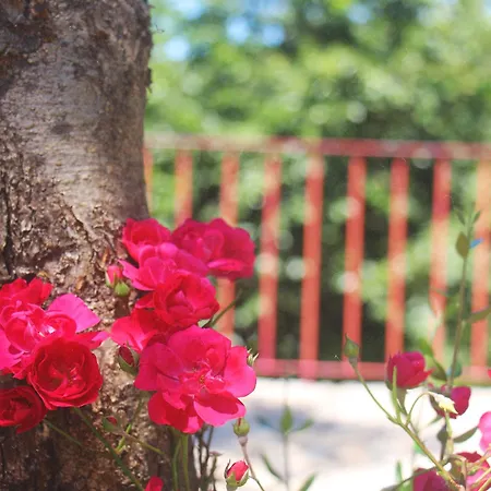 Geres - Aldeia Turistica De Louredo Holiday home