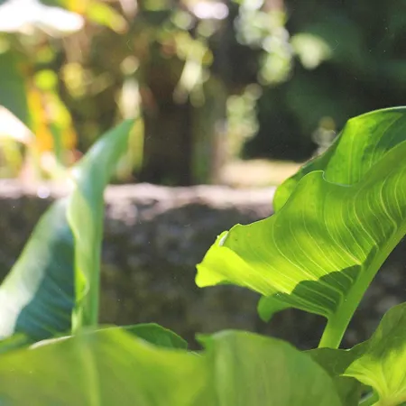 Holiday home Geres - Aldeia Turistica De Louredo