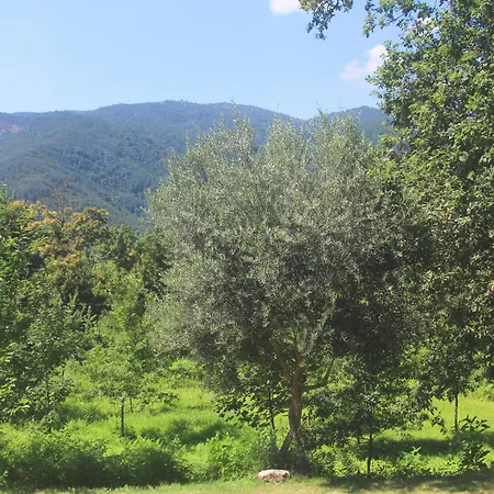 Geres - Aldeia Turistica De Louredo Feriehus Vieira do Minho