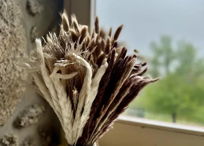 Gerês - Aldeia Turística De Louredo *