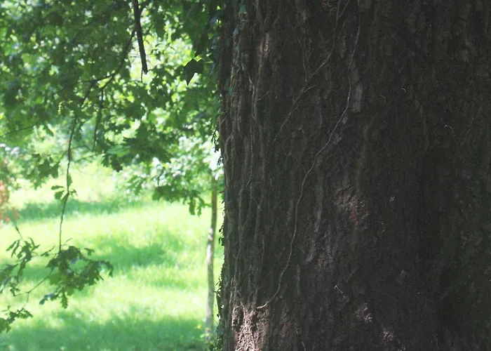 Geres - Aldeia Turistica De Louredo 펜션 비에이라도미노