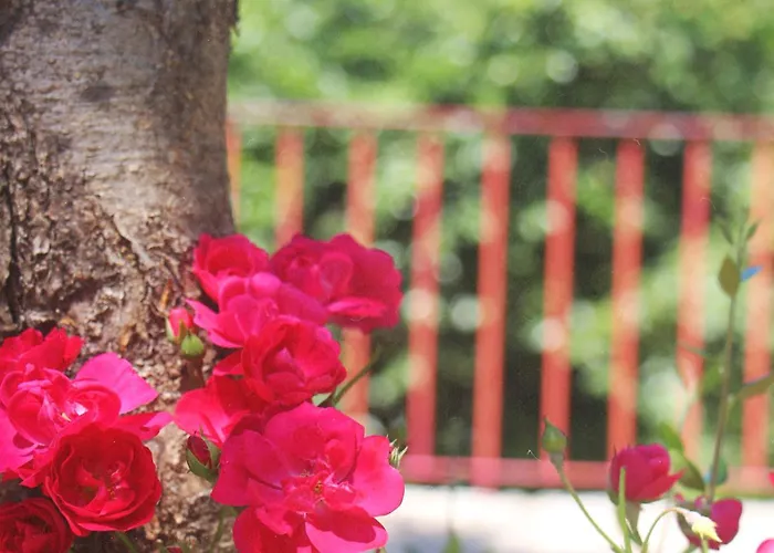 Geres - Aldeia Turistica De Louredo Σπίτι διακοπών