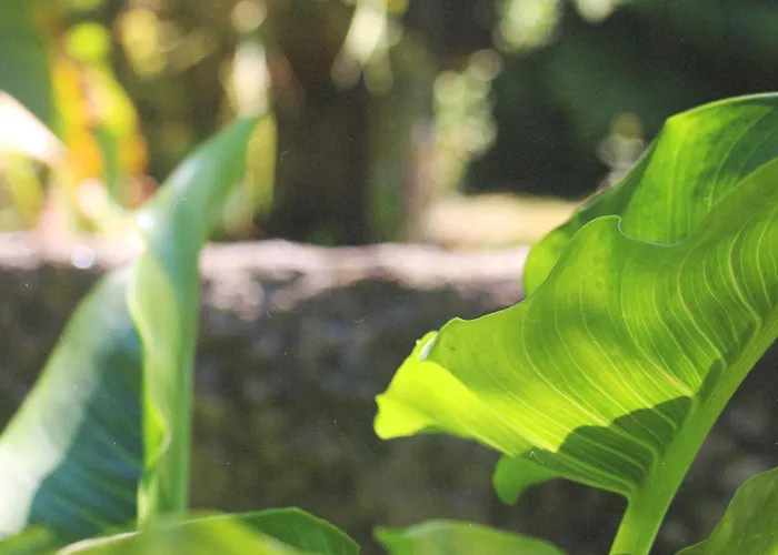 בית נופש Geres - Aldeia Turistica De Louredo