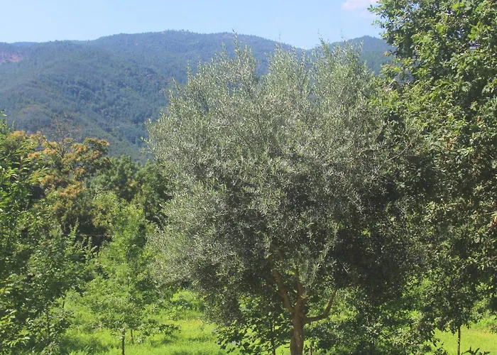 Geres - Aldeia Turistica De Louredo Σπίτι διακοπών Vieira do Minho