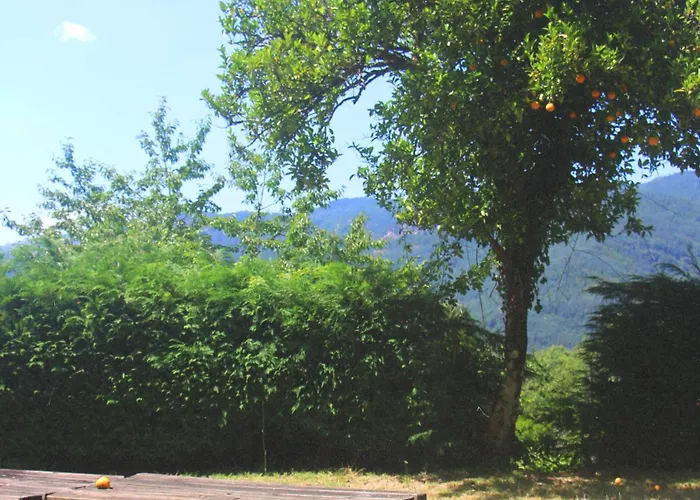 Geres - Aldeia Turistica De Louredo * ויירה דו מיניו